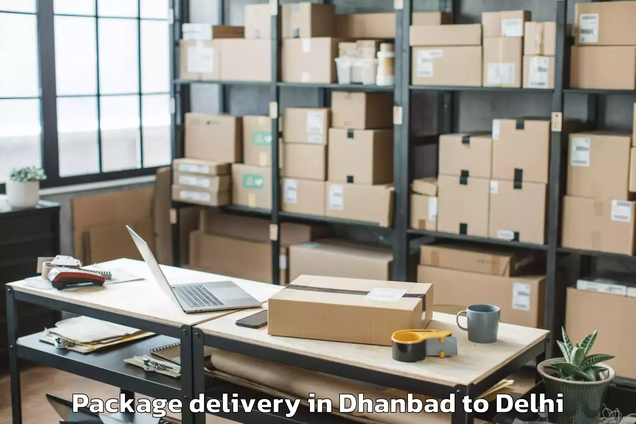 Reliable Dhanbad to Unity One Janakpuri Mall Package Delivery